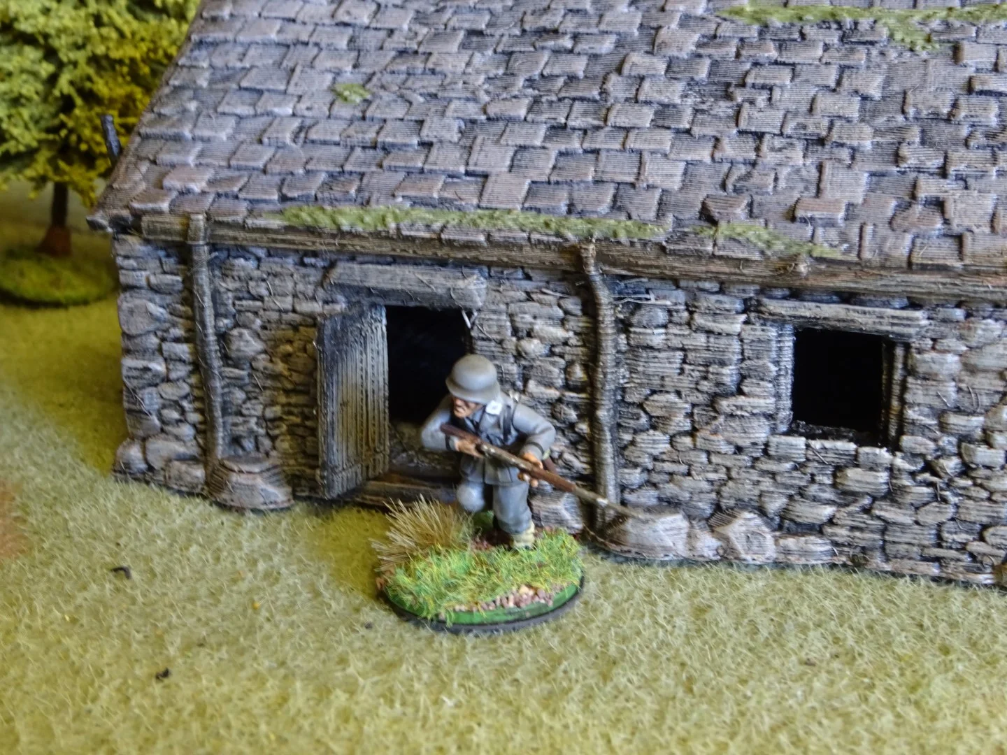 DSC01278 (Large).JPG