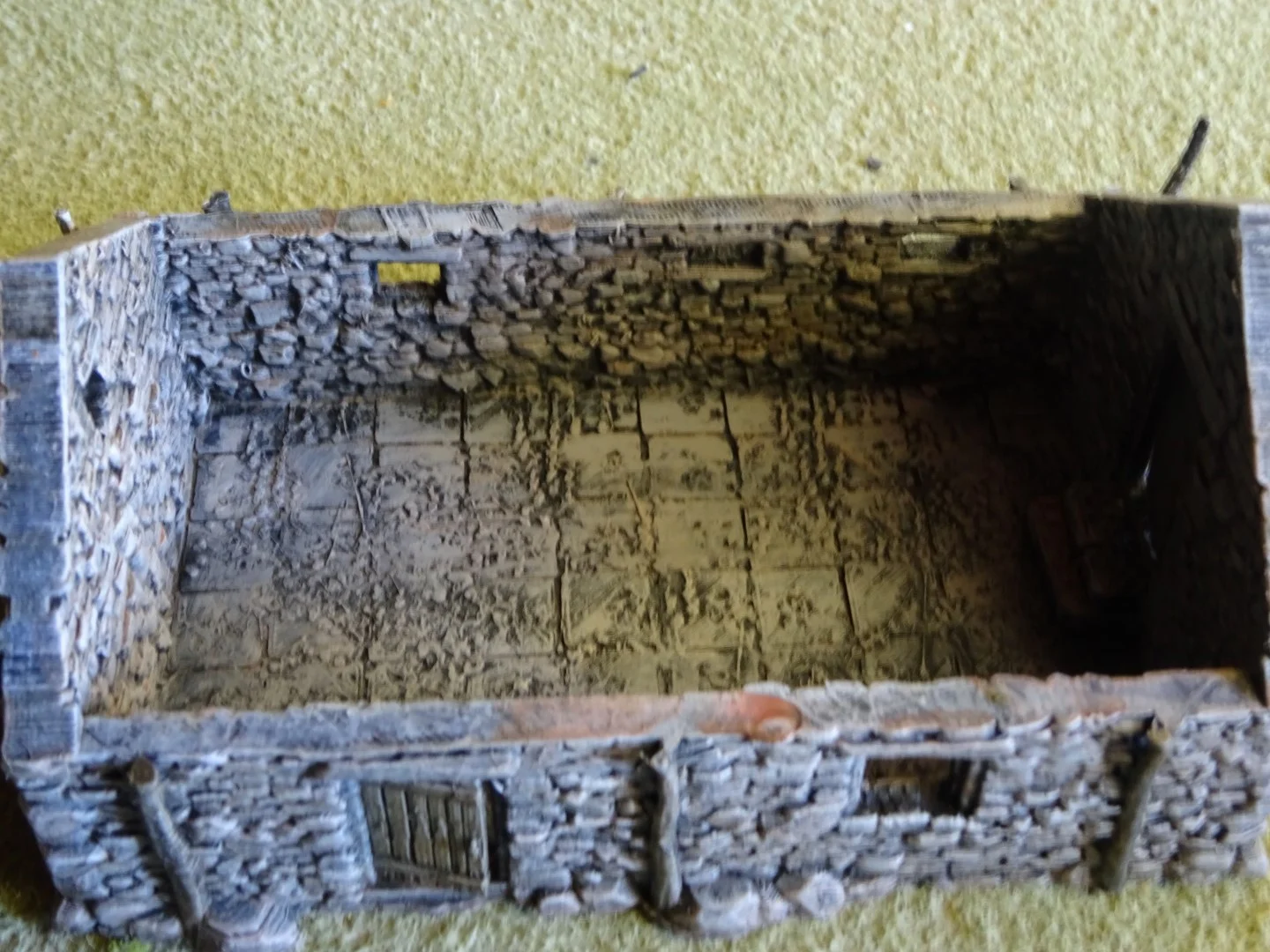 DSC01274 (Large).JPG