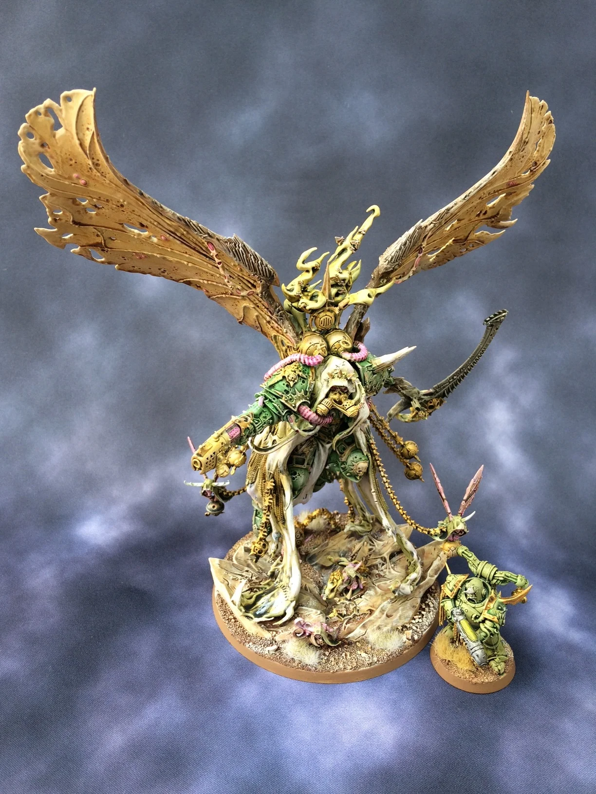 29th September 2017 (8 points)