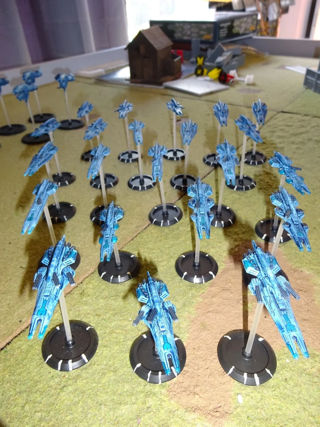 DSC01321 (Large).JPG