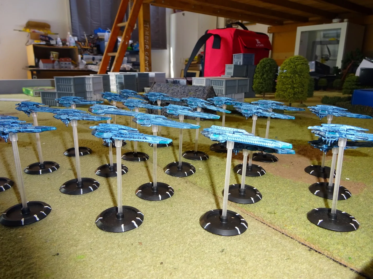 DSC01322 (Large).JPG