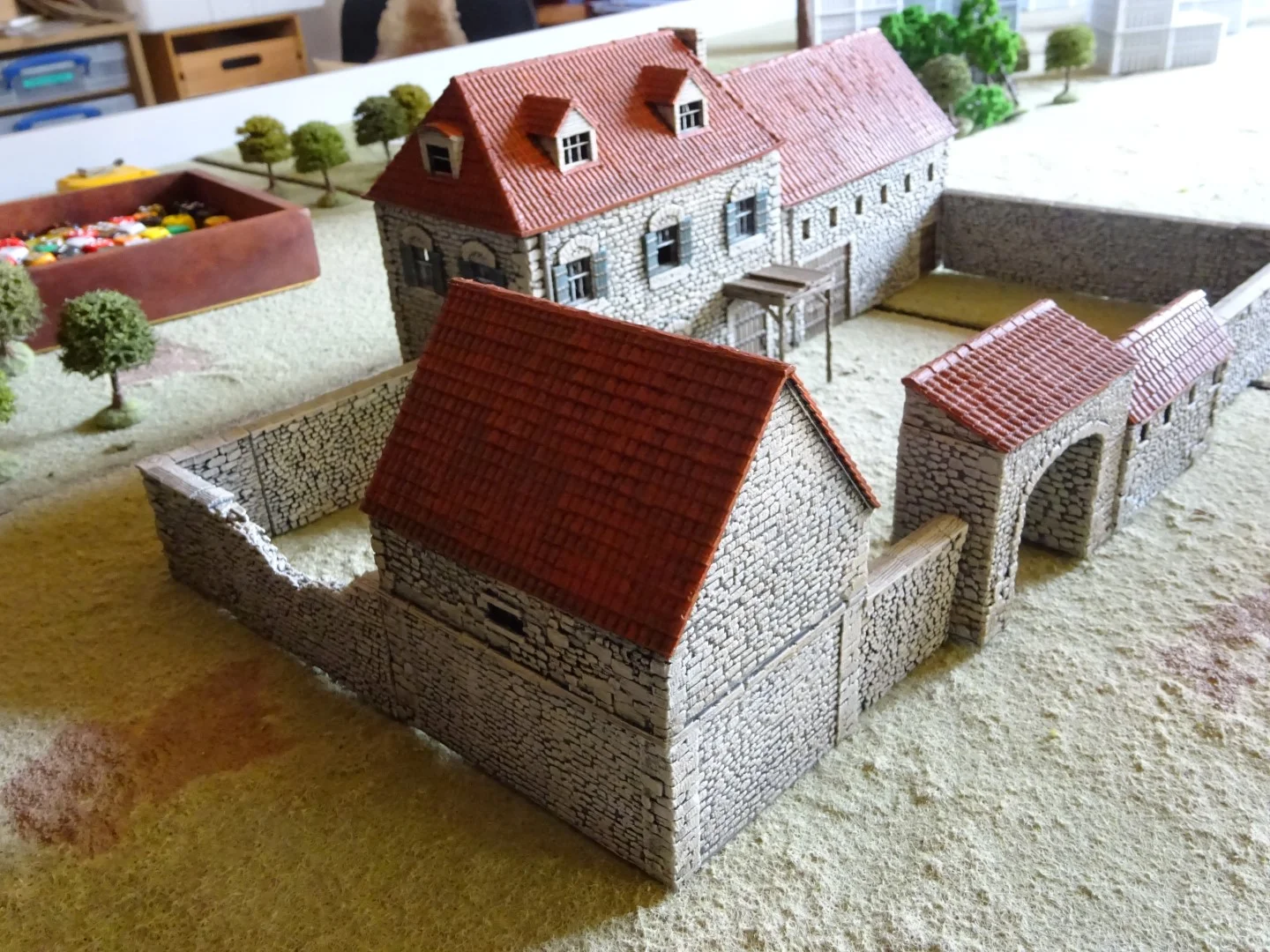 DSC01345 (Large).JPG