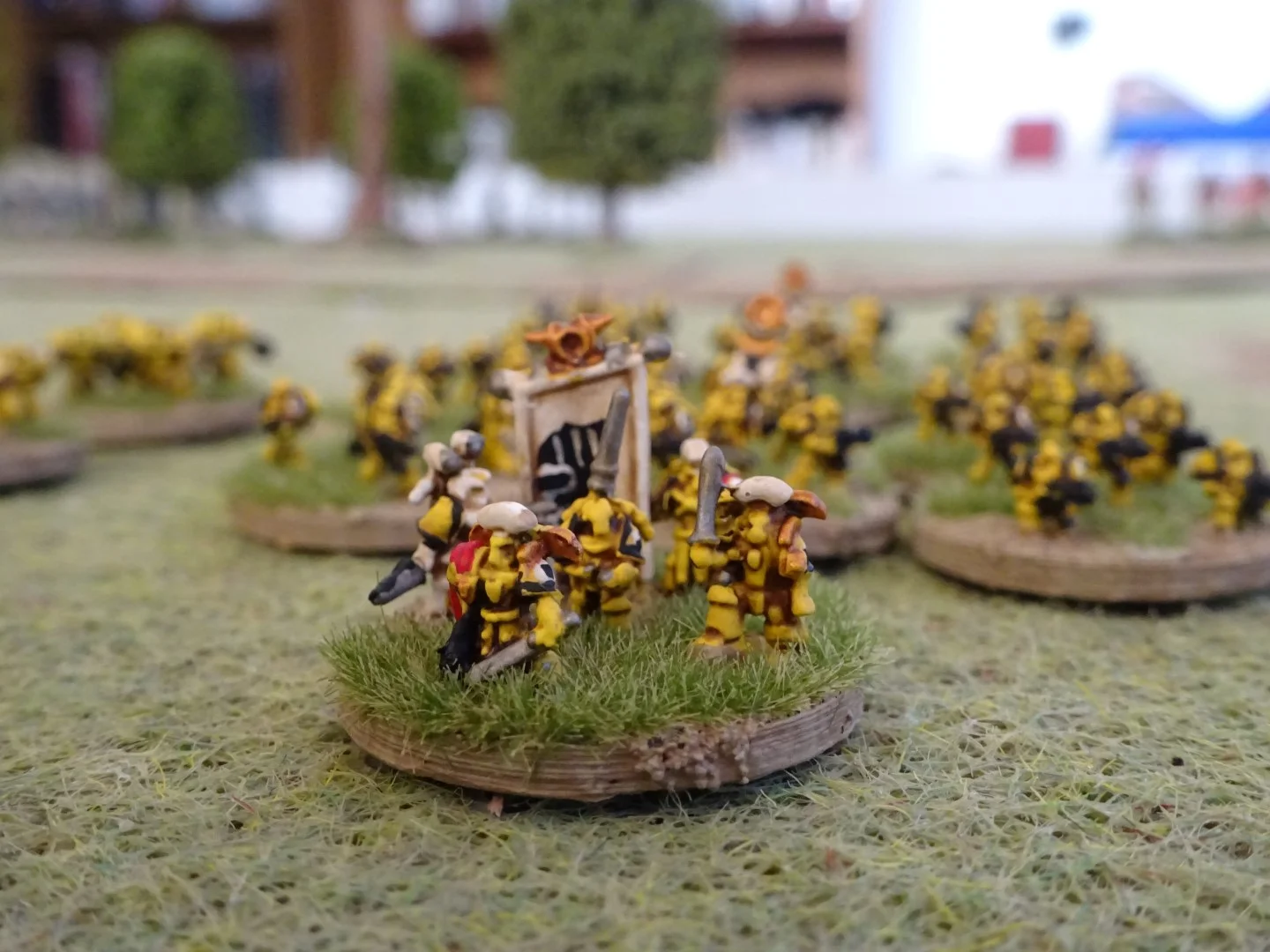 DSC01369 (Large).JPG