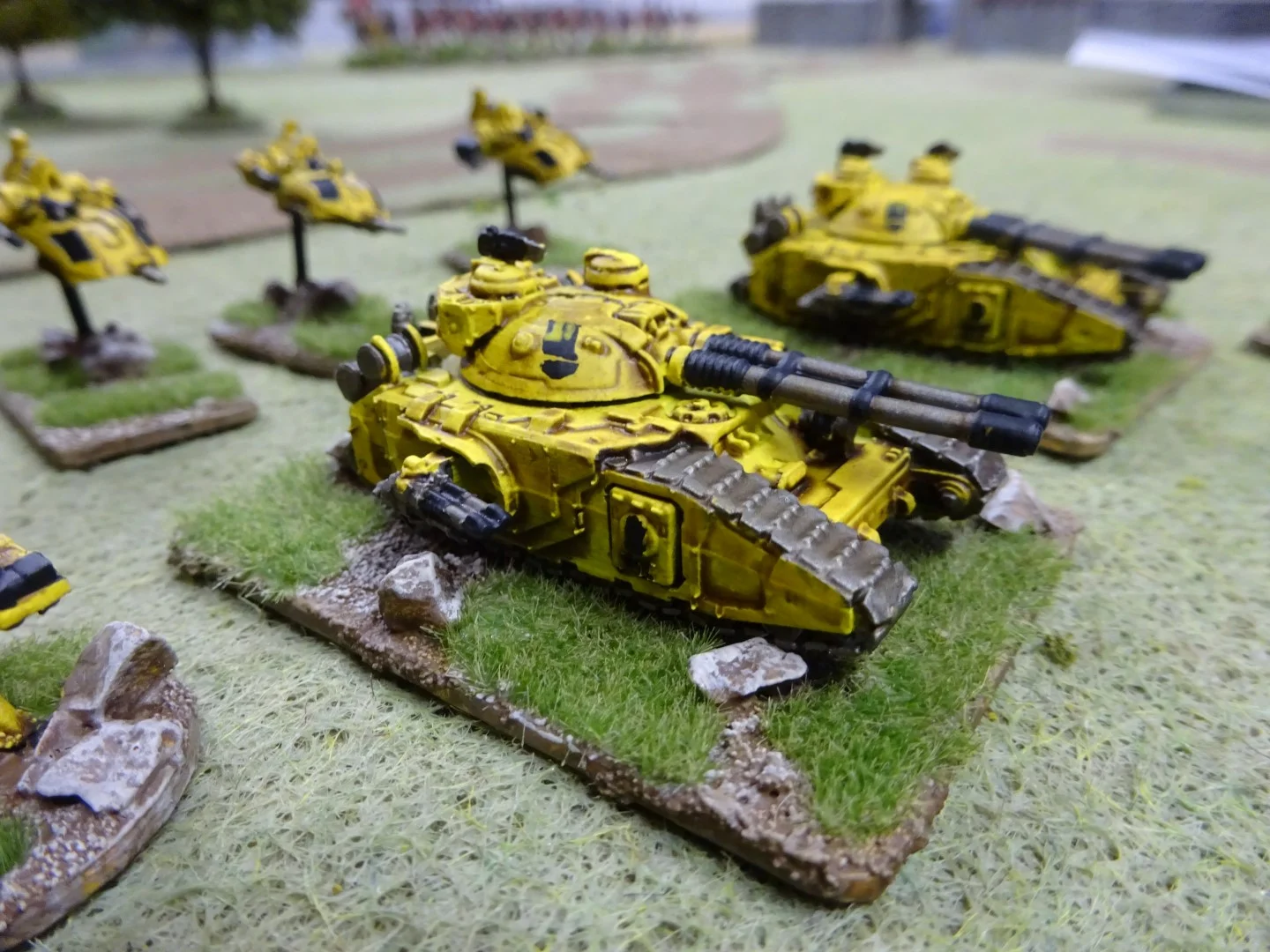 DSC01468 (Large).JPG