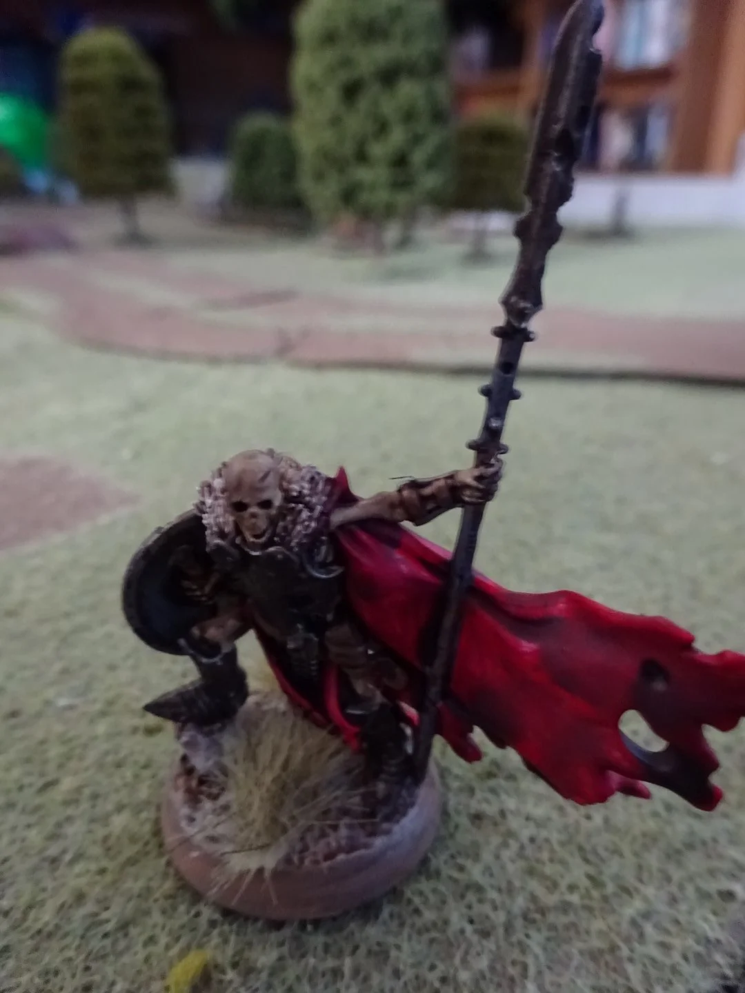 DSC01499 (Large).JPG