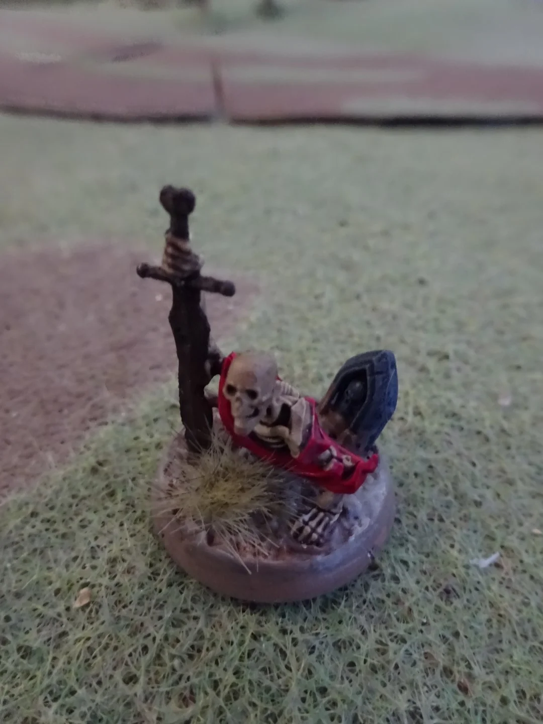 DSC01500 (Large).JPG