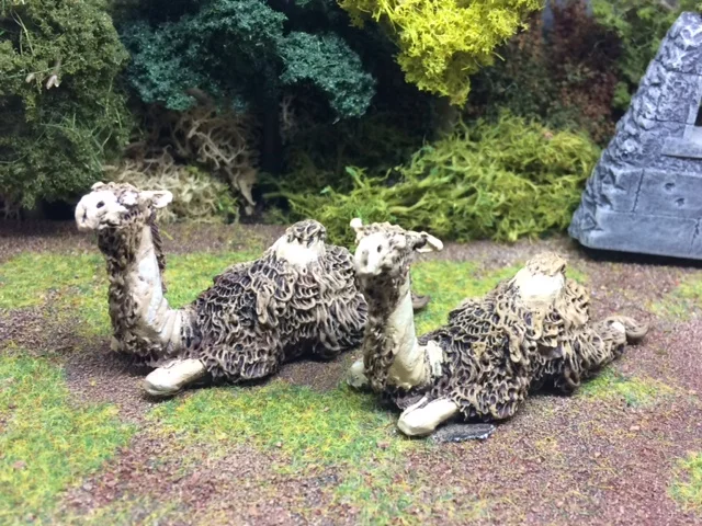 11th April 2018 (8 points)