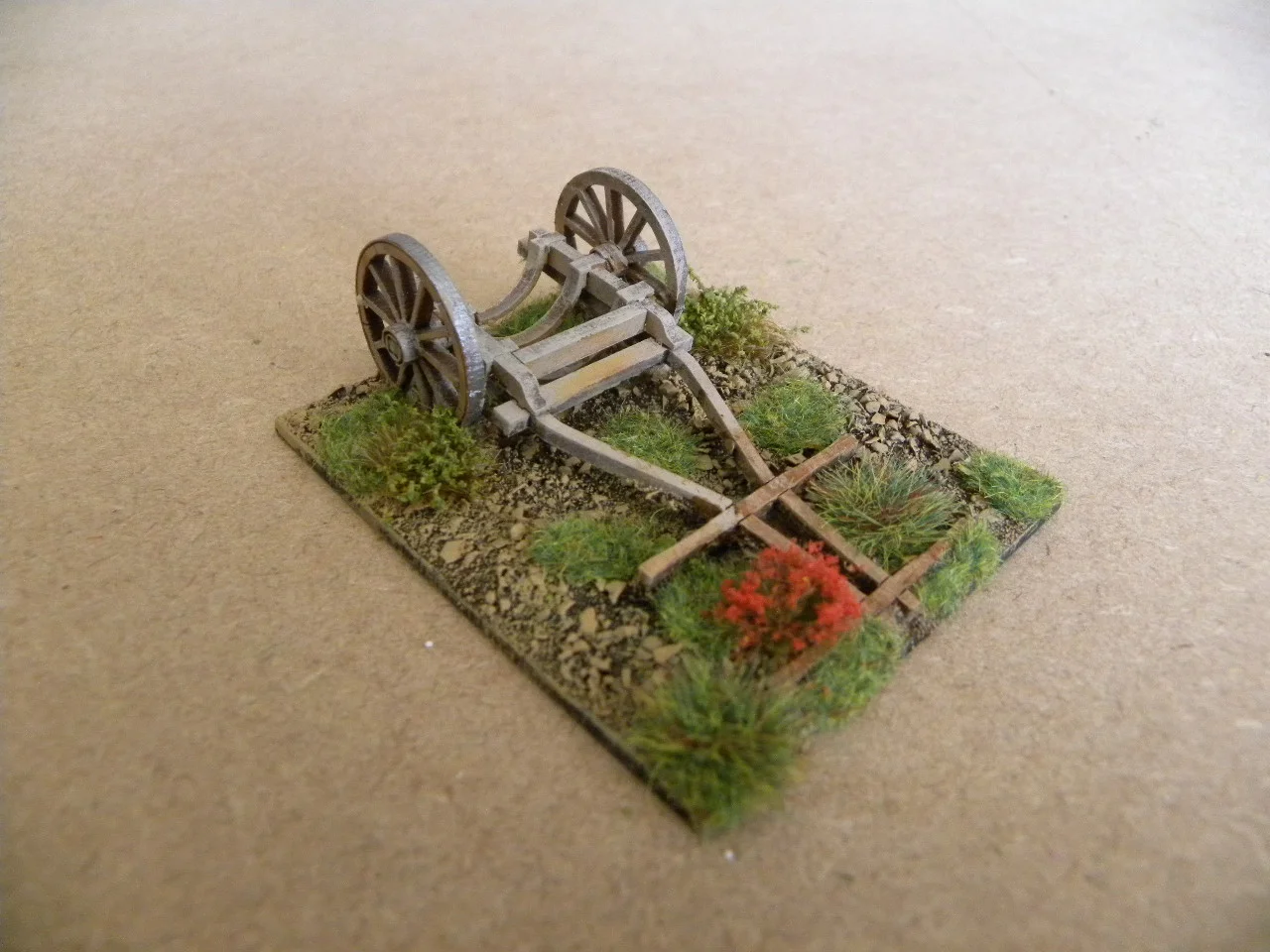 DSCN9039.JPG