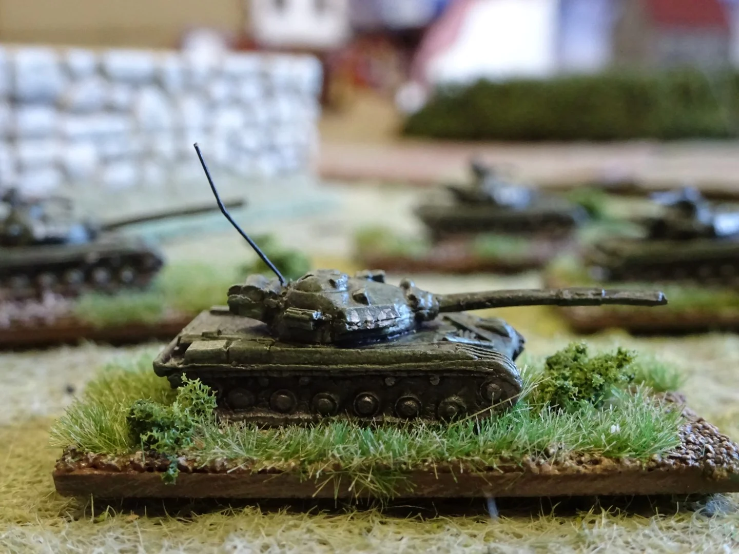 DSC01540 (Large).JPG