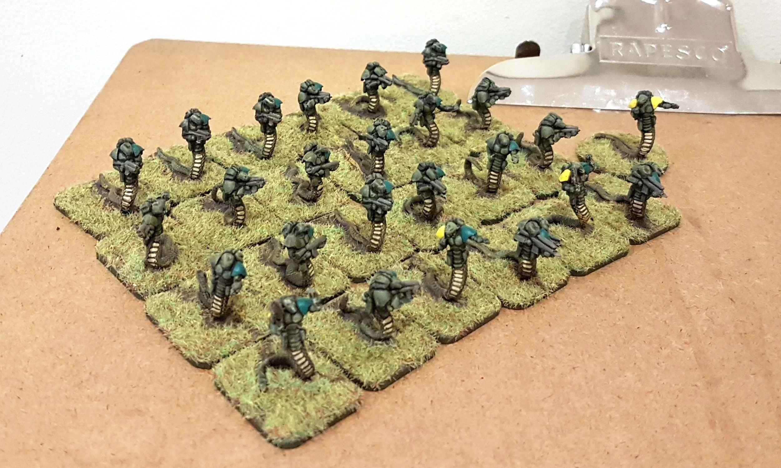inf1.jpg