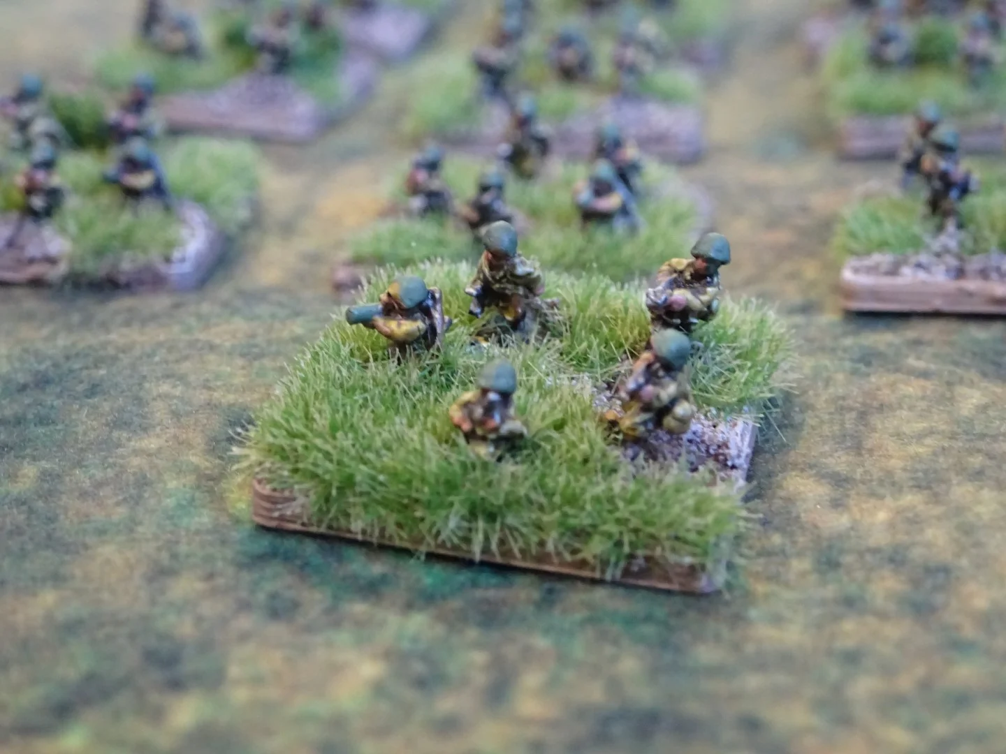 DSC01598 (Large).JPG