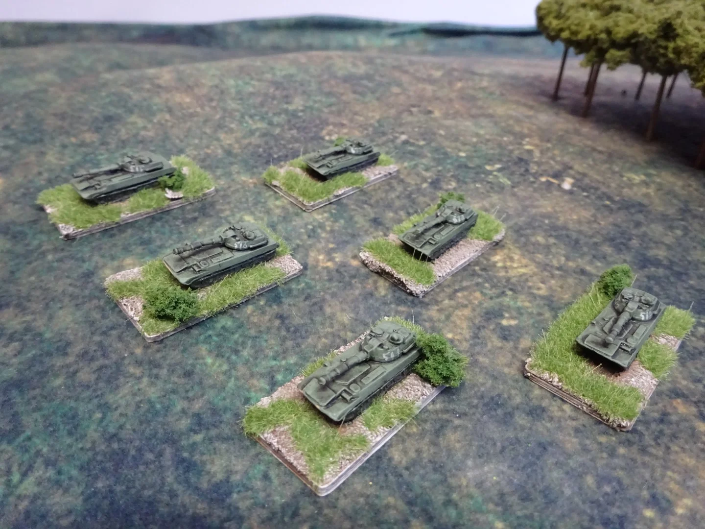 DSC01661 (Large).JPG