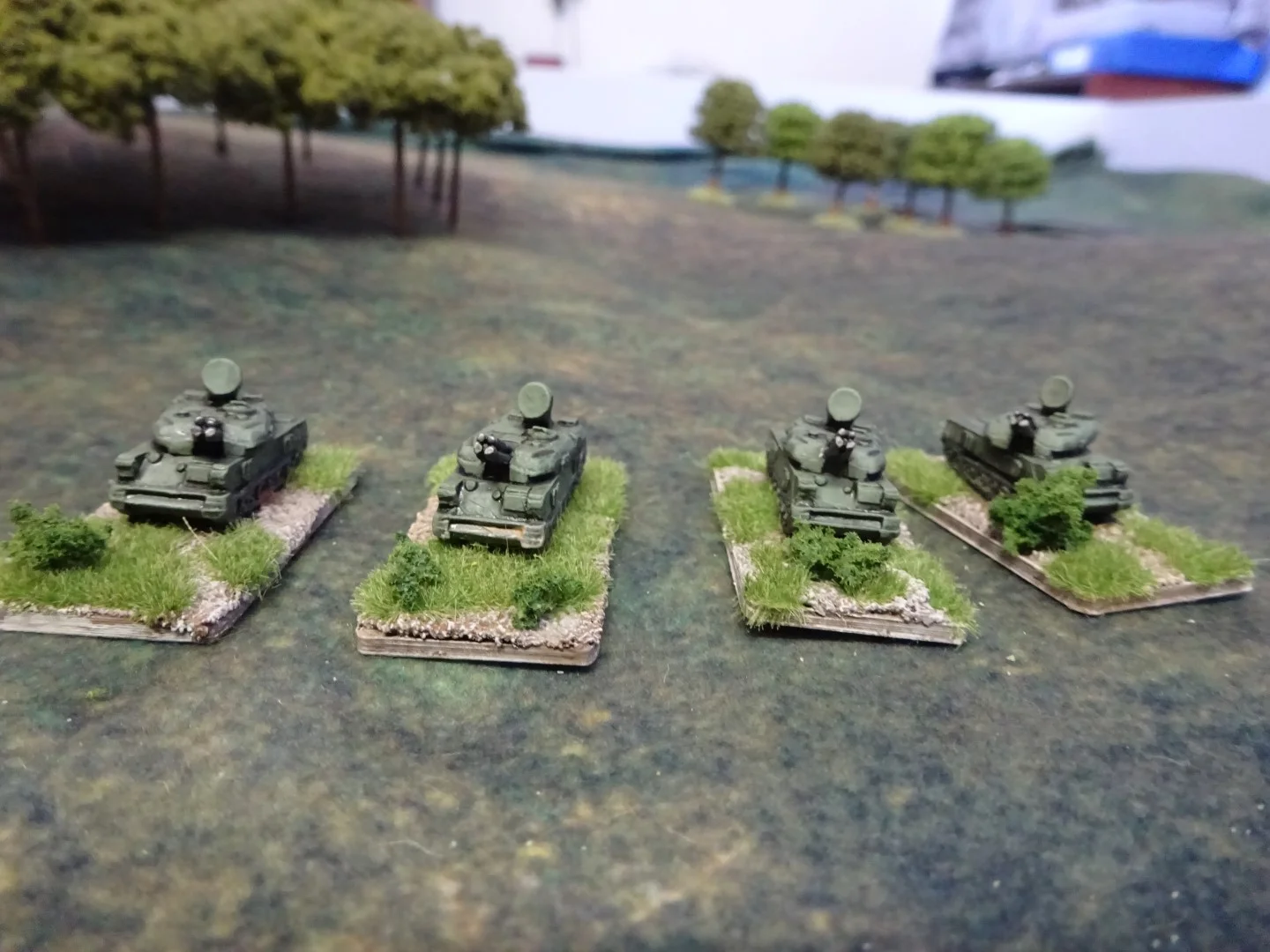 DSC01659 (Large).JPG