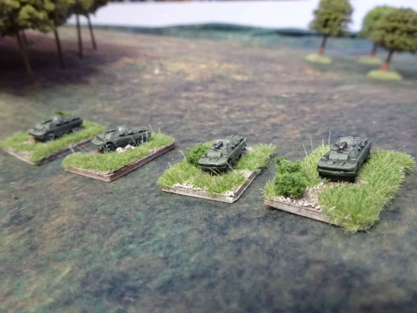 DSC01658 (Large).JPG