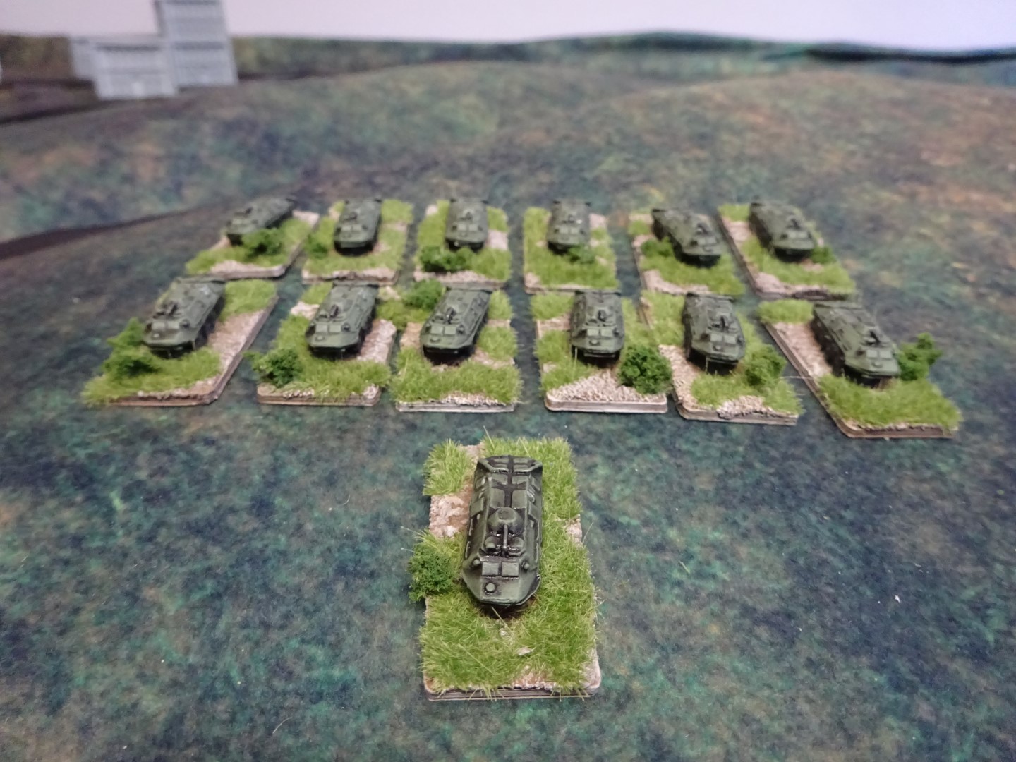 DSC01656 (Large).JPG