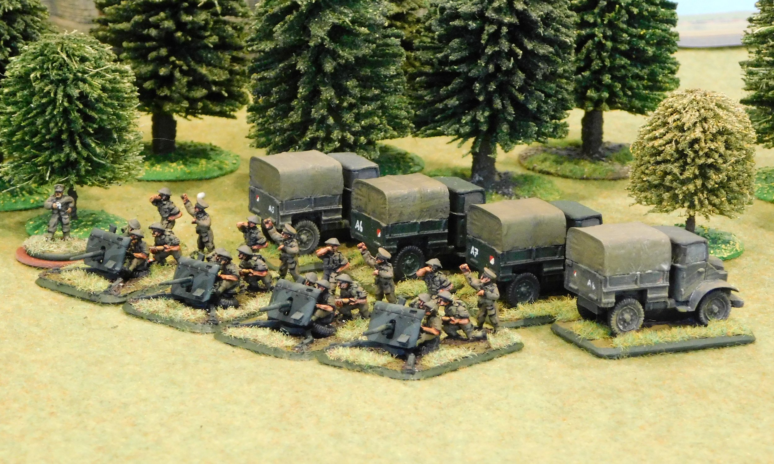 Anti-Tank Platoon (2 pdr guns)