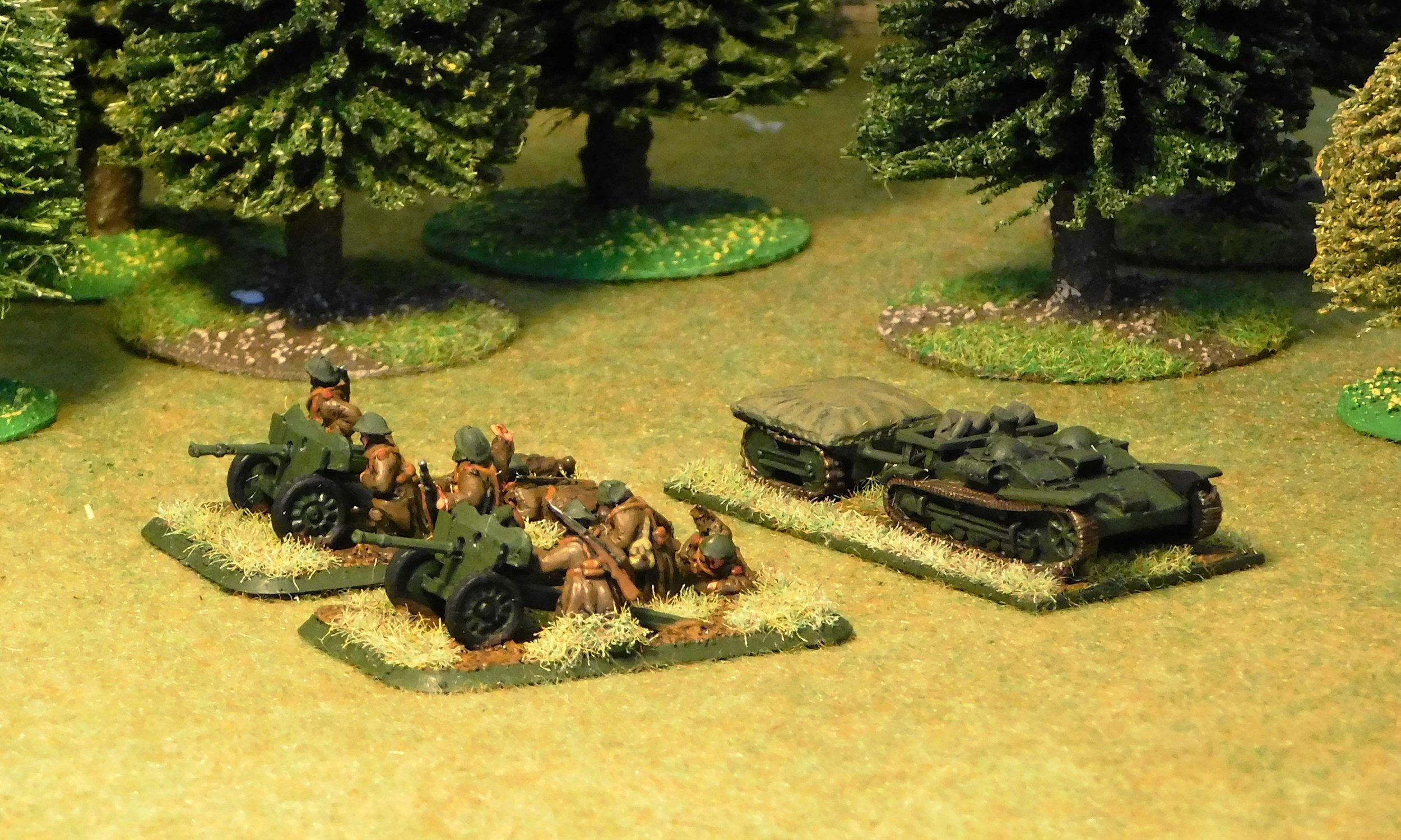 Heavy weapons Platoon (remnants)