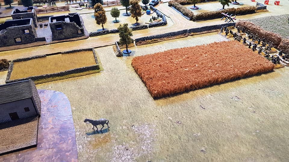  Meanwhile, movement on the first Blind on the German left flank turns out to be a wandering horse (sheep also made an appearance on the other flank!). However, the second Blind reveals a German infantry platoon and HMG.   