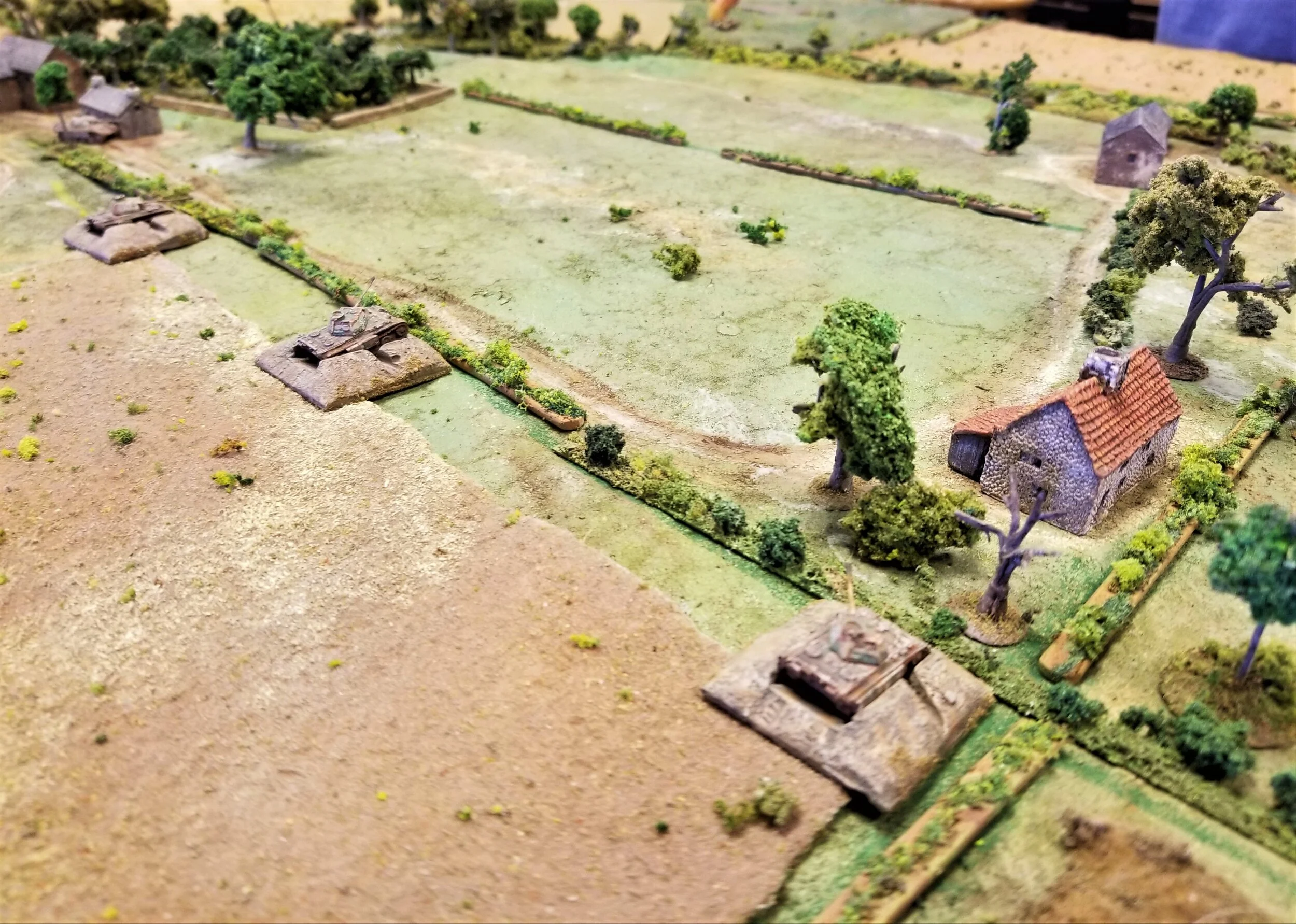 Dug in Panthers
