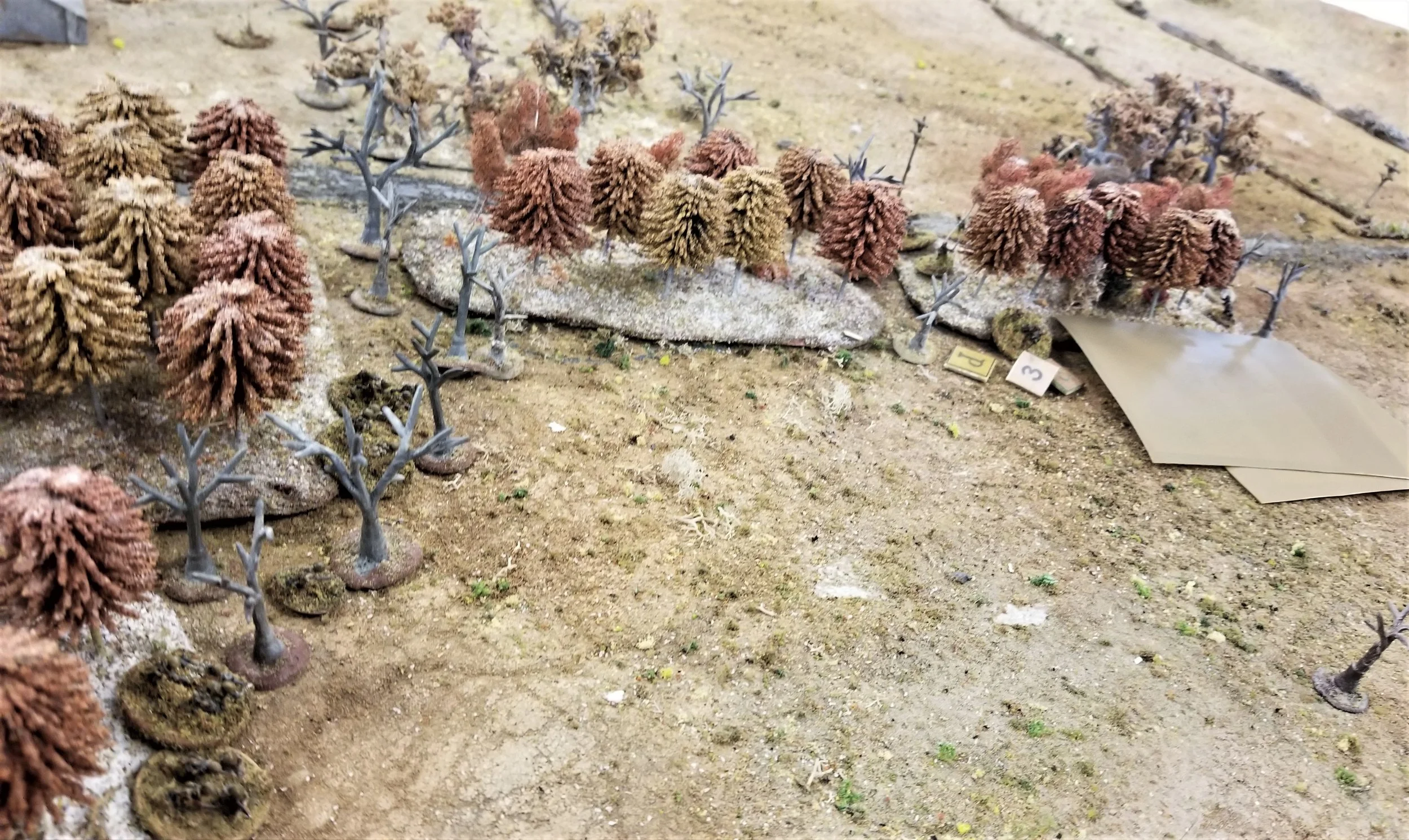 Action on the north side