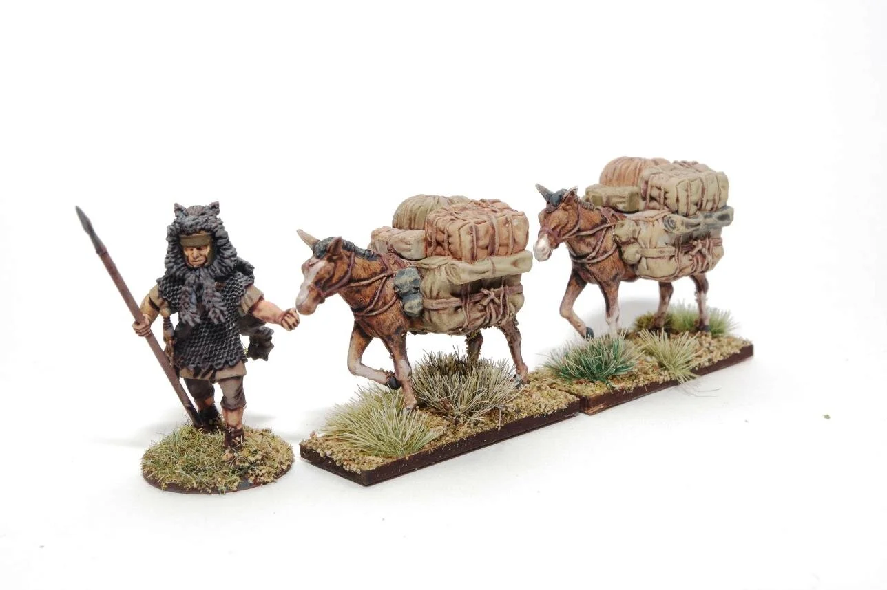 14th November 2020 (12 points)