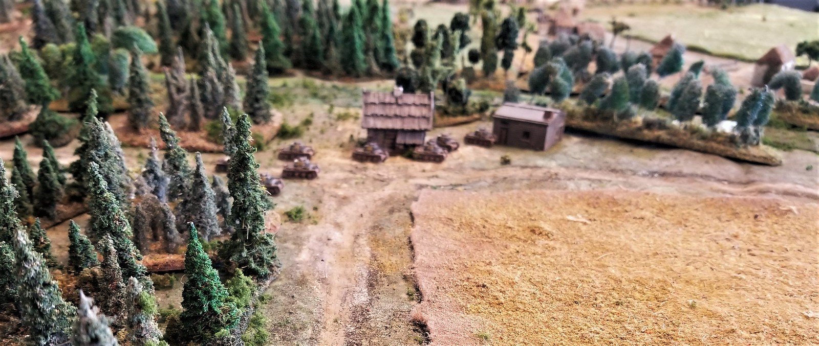 Germans exit from the road through the wood