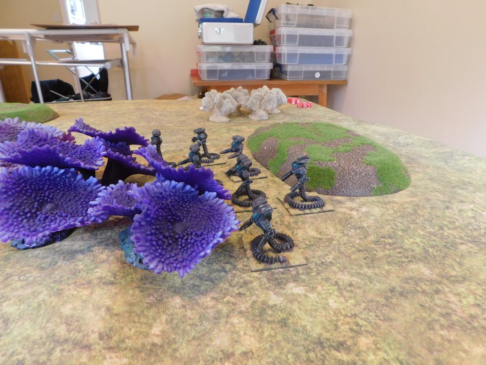 The Astagar Viperia platoon takes cover in the purple plants