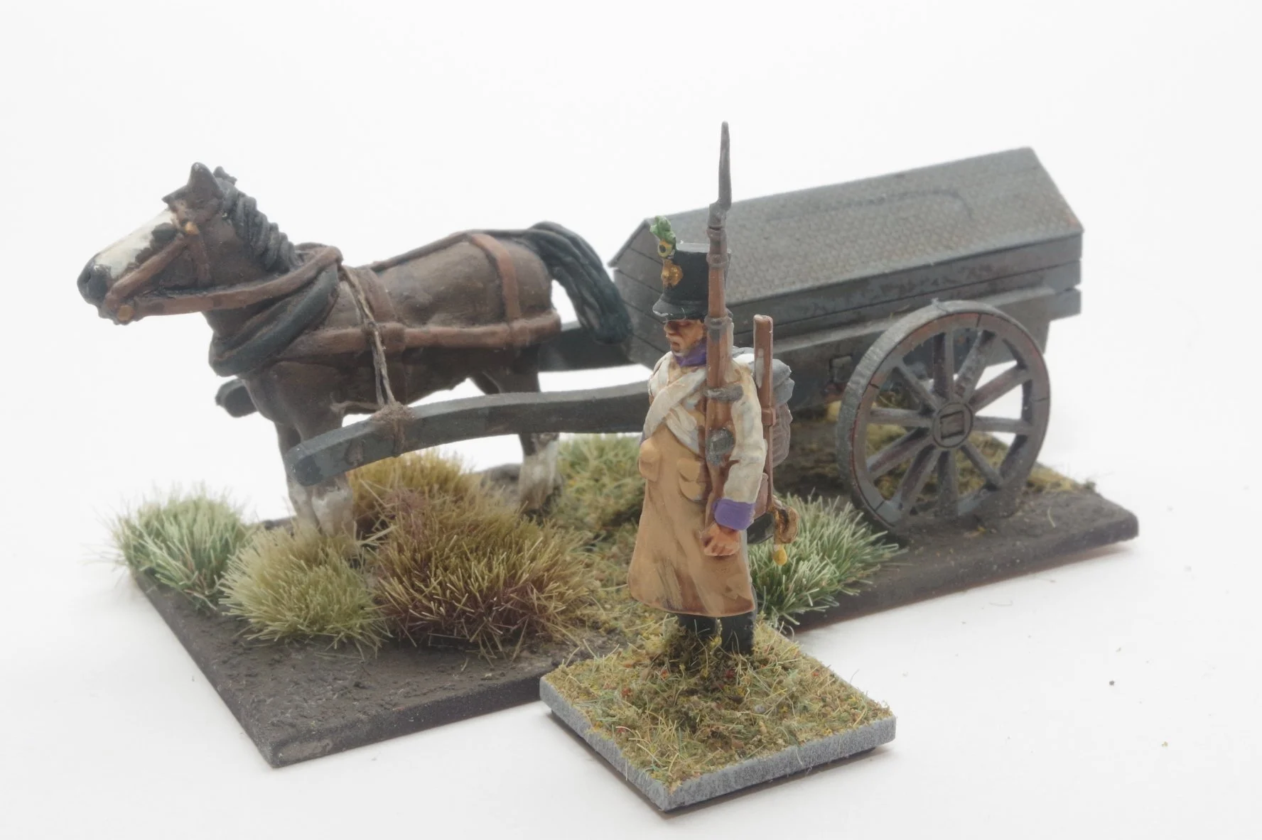 19th November 2022 (18 points)