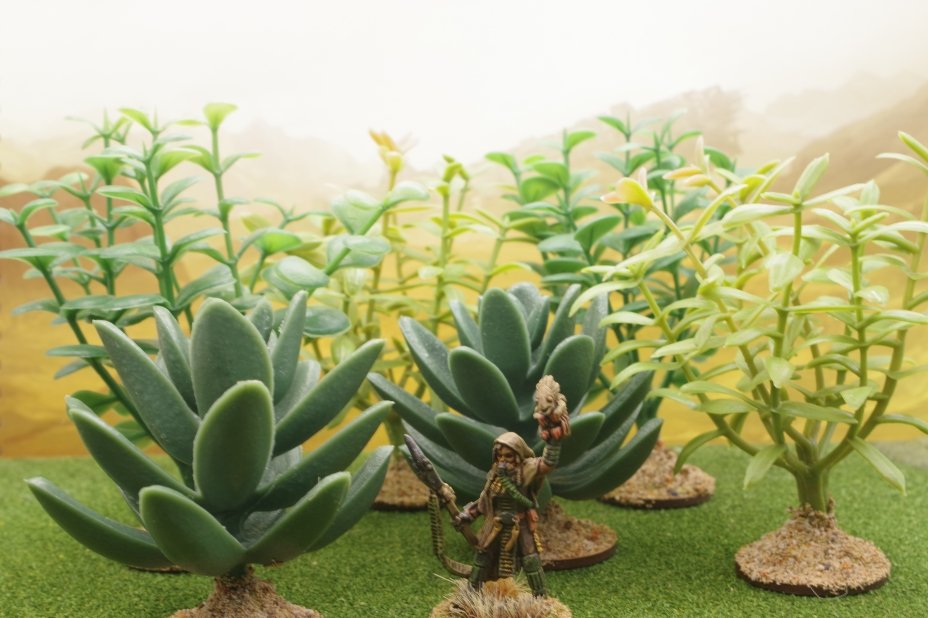 25th April 2024 (36 points)