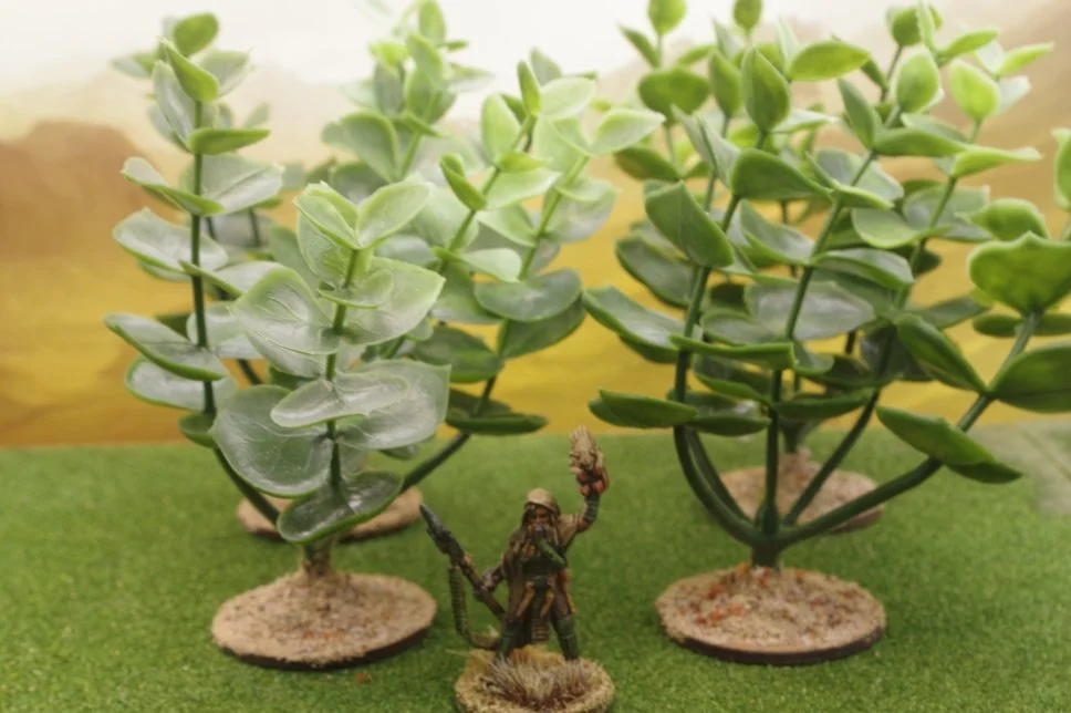 Four sci fr trees.JPG