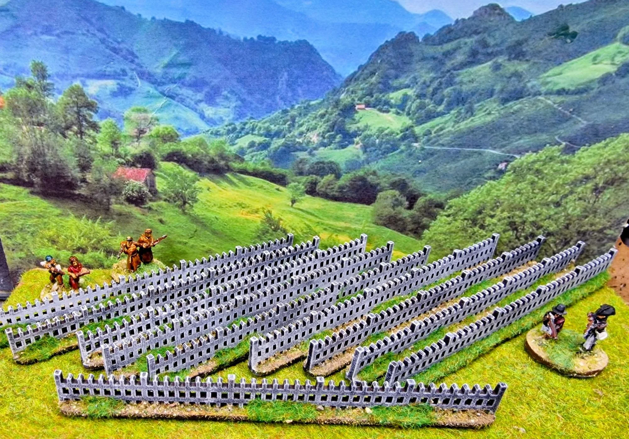 22nd January 2026 (24 points)