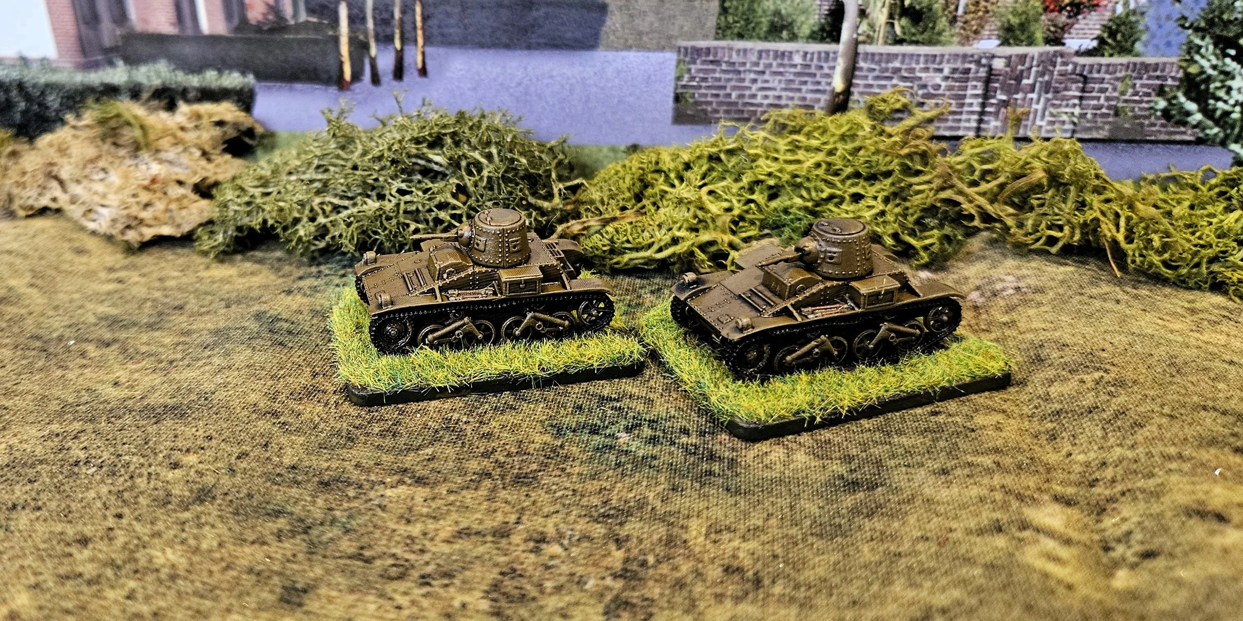 20th February 2026 (12 points)