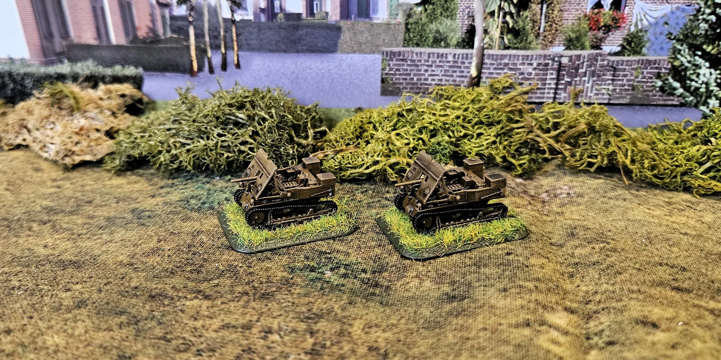 20th February 2026 (12 points)