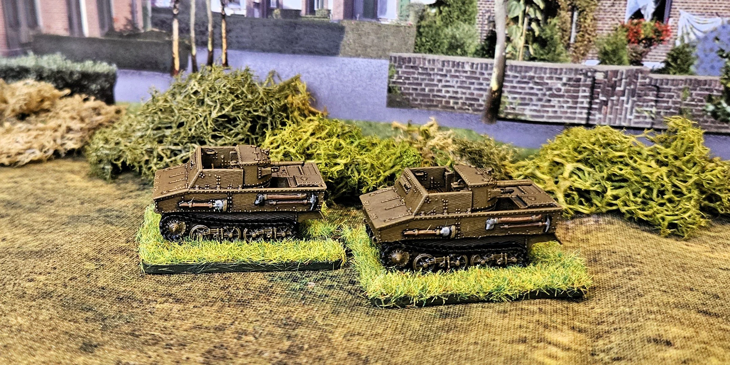 23rd February 2026 (12 points)