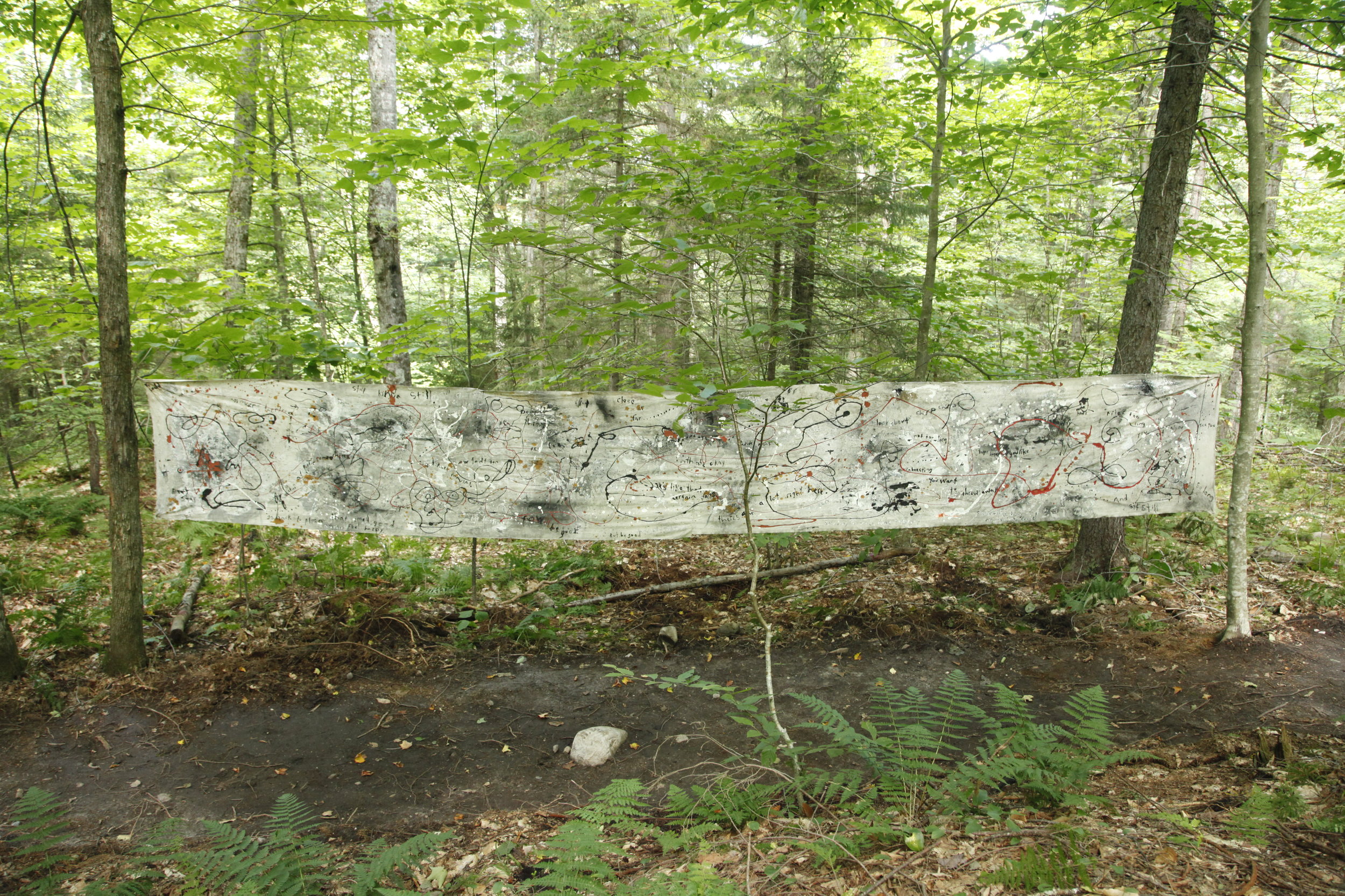 _MG_8350.JPG