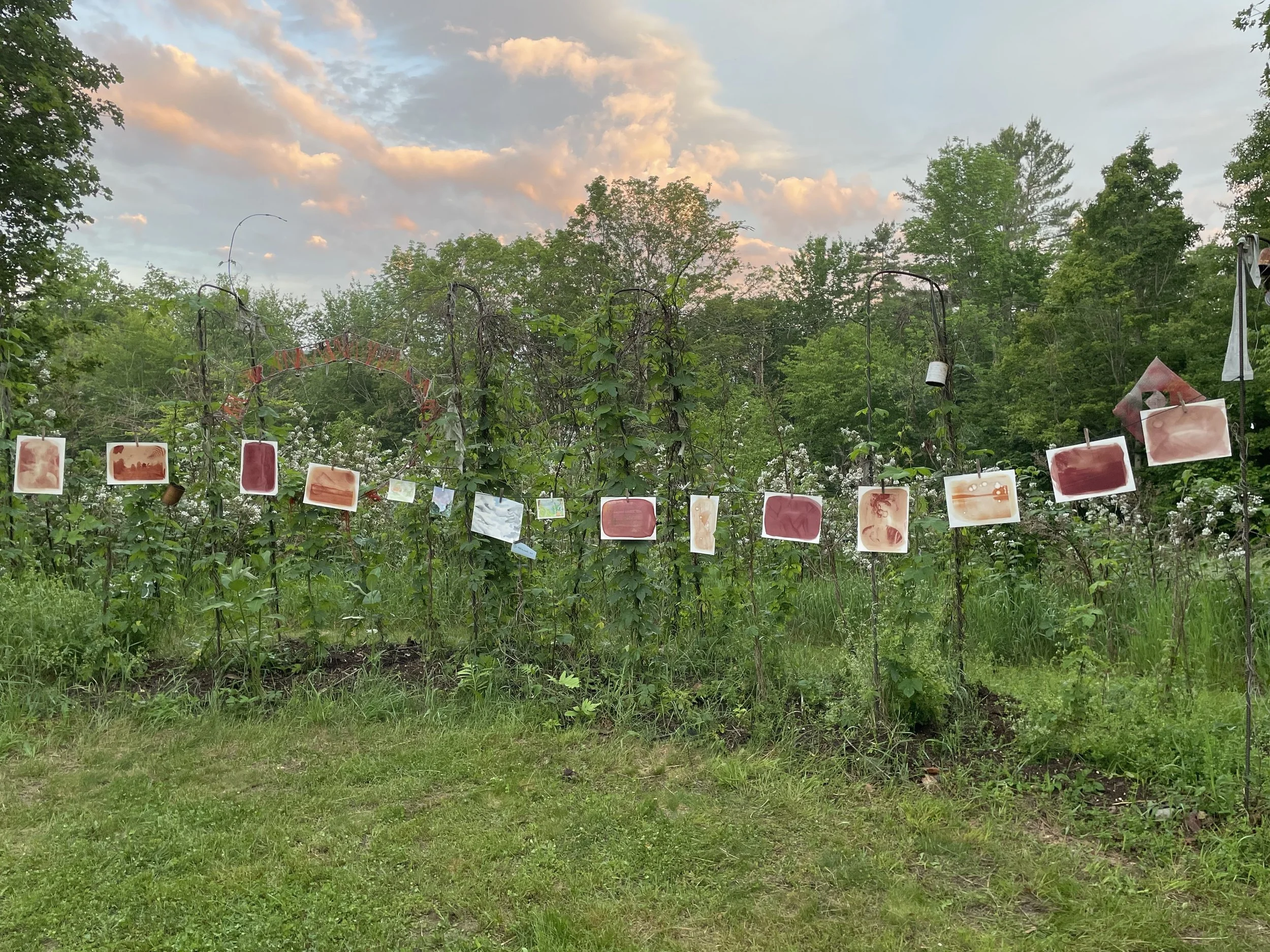 Copy of IMG_1505.jpg