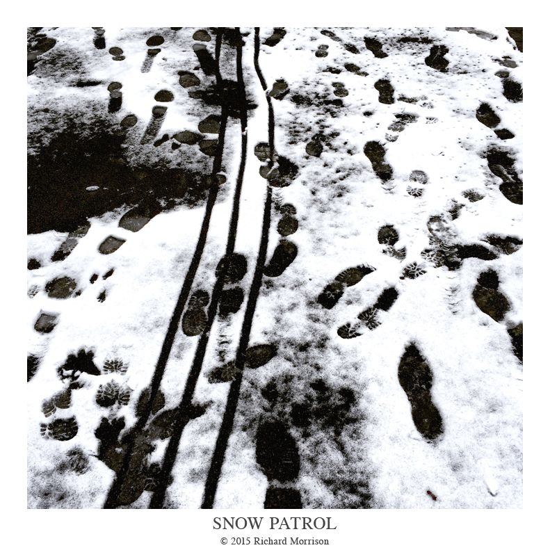 Snow_Patrol.png
