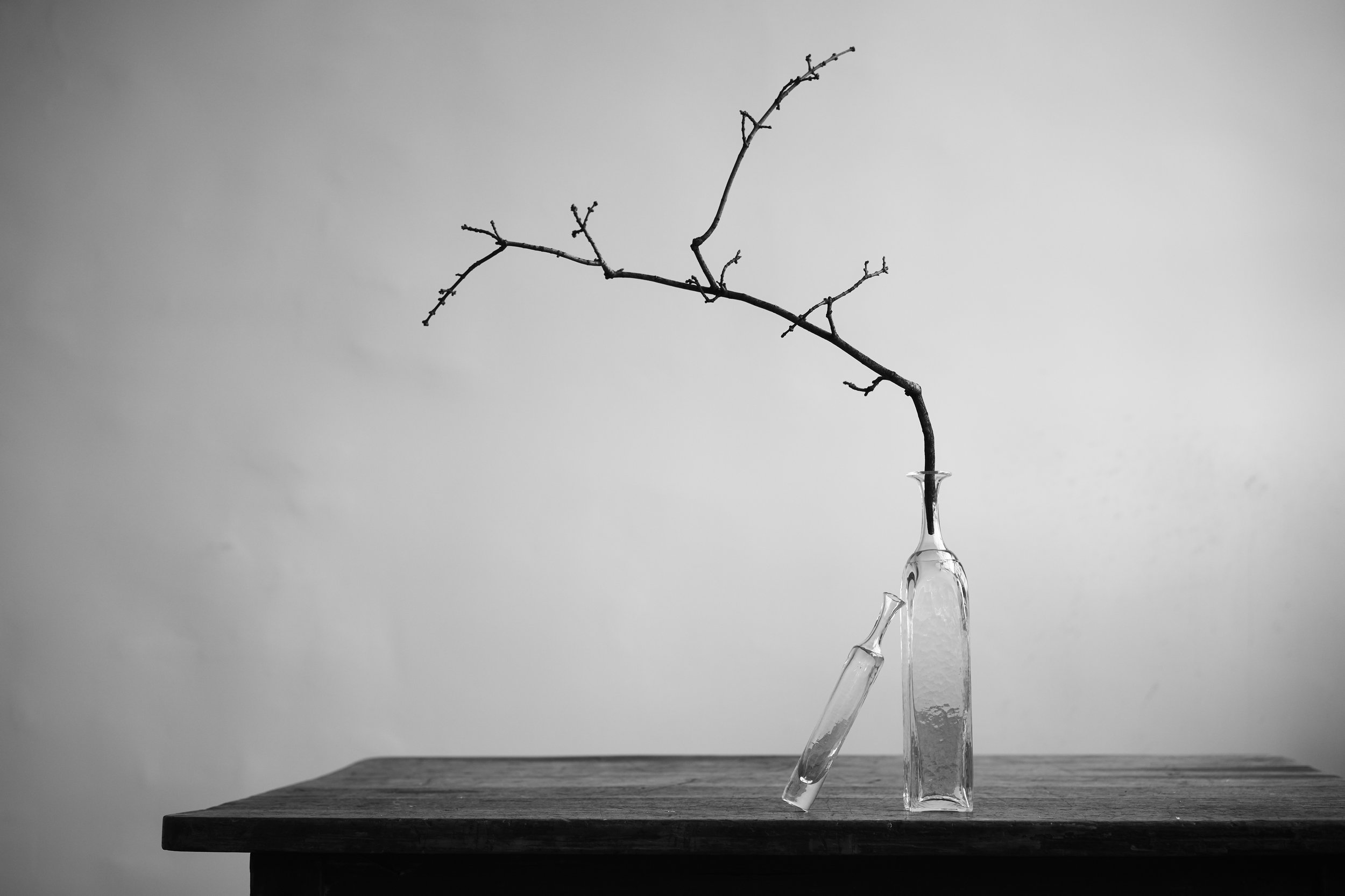 18081_pers_guild-still-life_12-6-184252.jpg