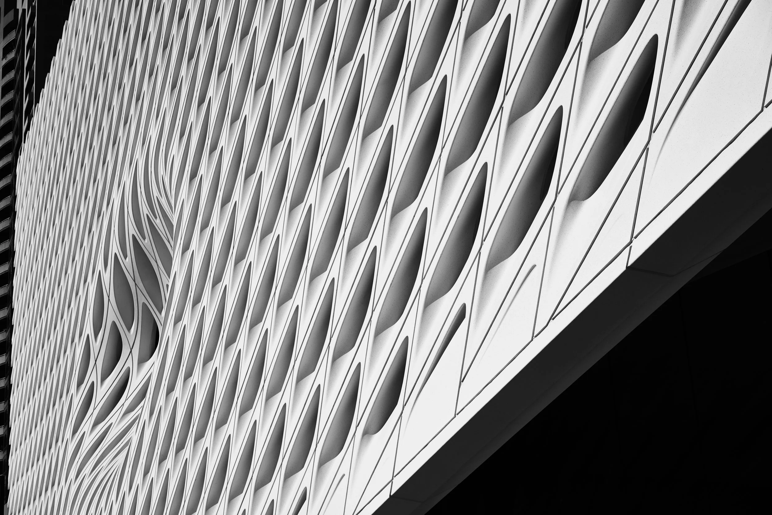 16009_edit_beyond_broad_1-25-16_109.jpg