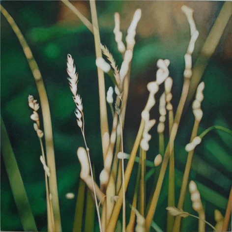 Untitled 61x61cm acrylic on canvas 2002