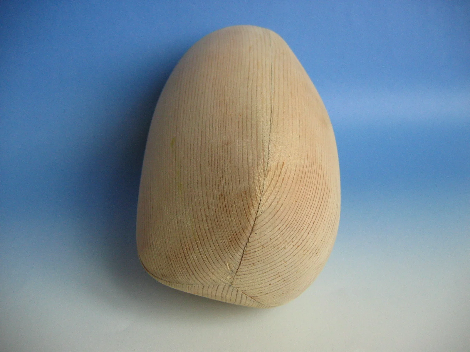 form 024.jpg