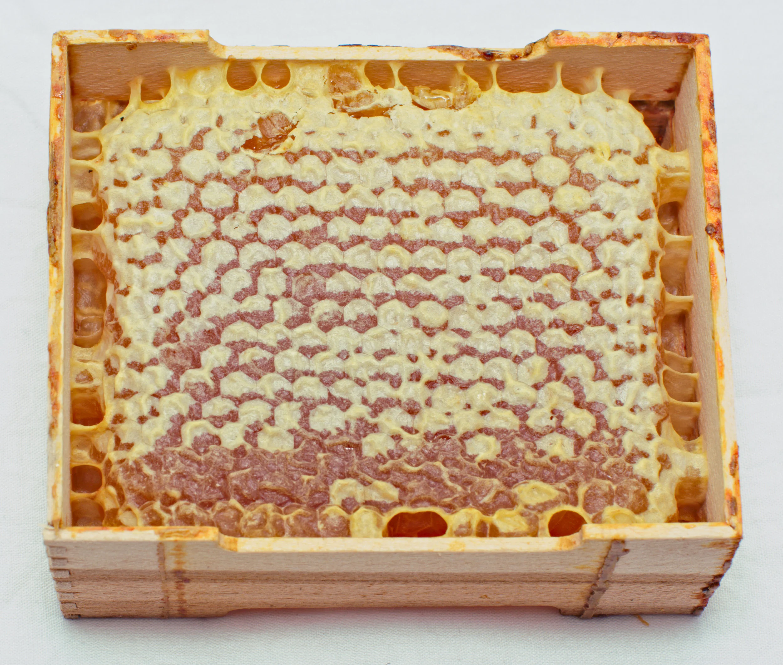 honey.jpg