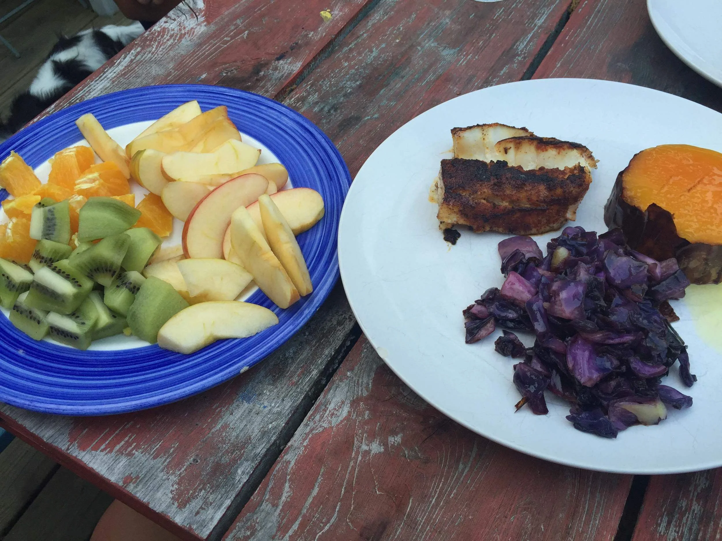 Spring Evenings on the Picnic Table