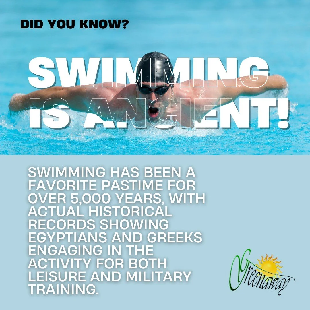 DID YOU KNOW?

🏊&zwj;♂️ Swimming is over 5,000 years old! From ancient Egyptians to Greek warriors, swimming has been a favorite pastime for centuries! 🌊 #swimmingpool #swimming