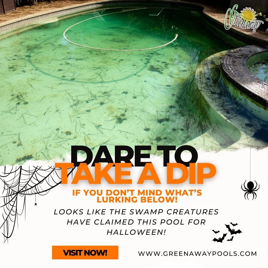 Don't let your pool turn into a haunted swamp! 👀💀 

Call us to bring it back to life! 💦  #GreenawayPools #PoolCleaning