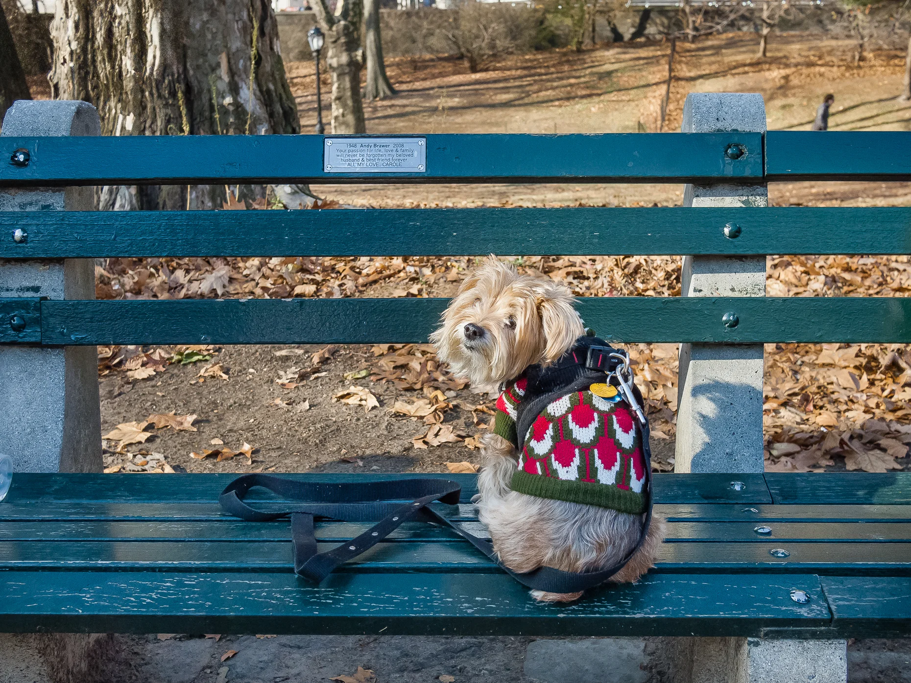 Central Park, NY