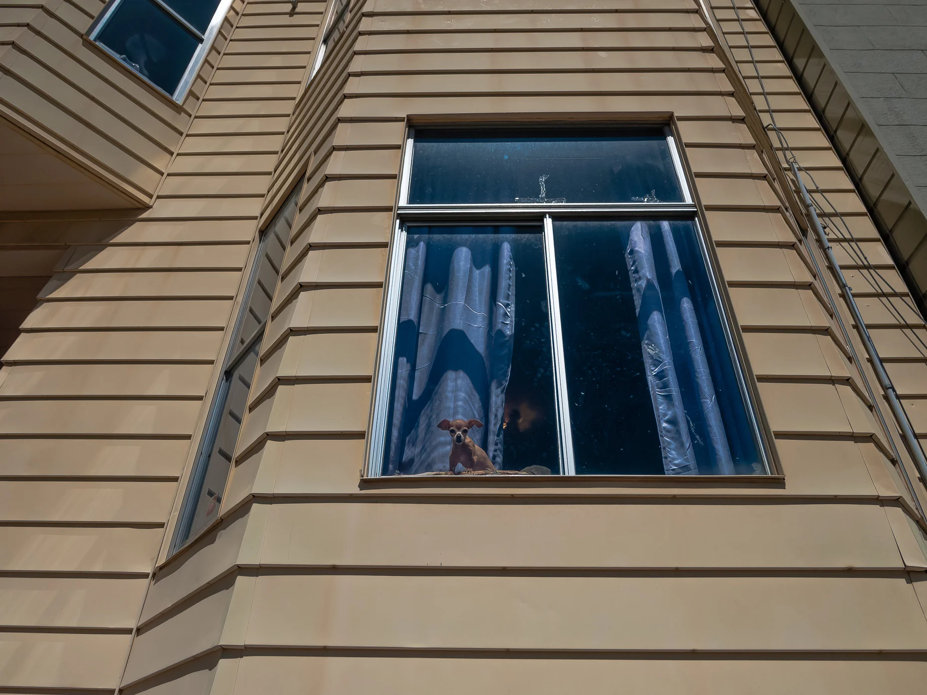 San Francisco, CA