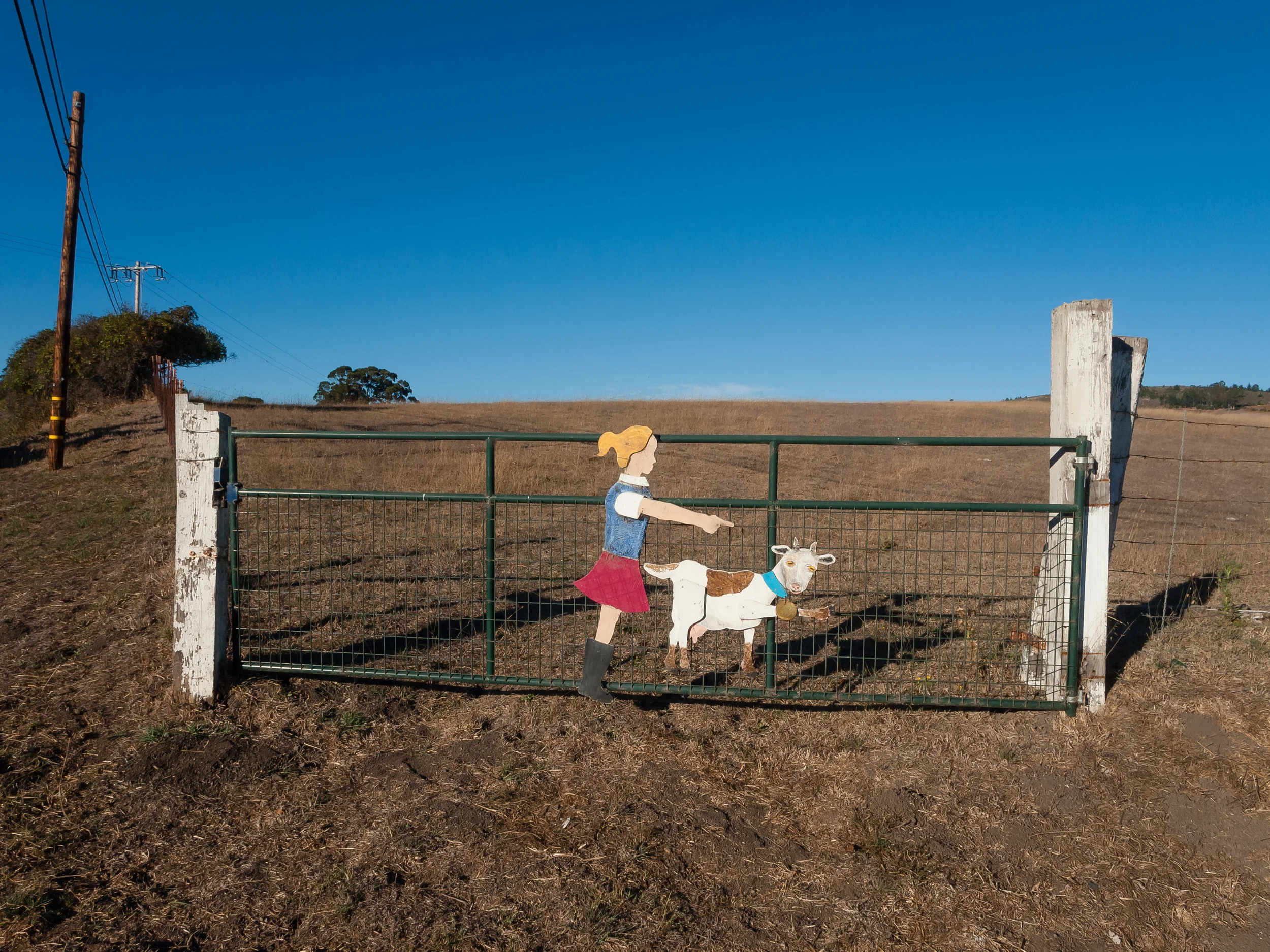 Petaluma, CA, 2015