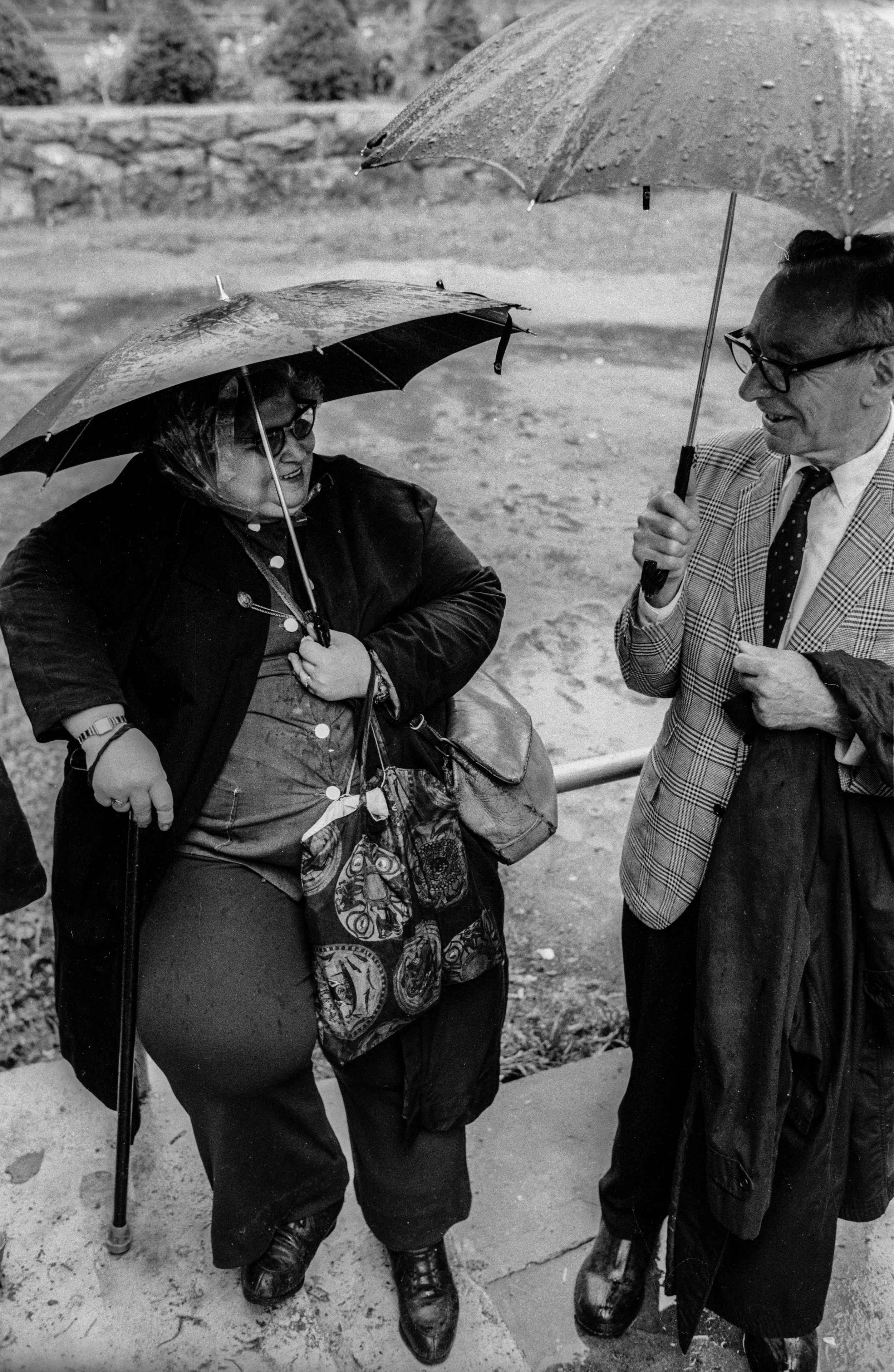 Workmen's Circle Picnic, NY, 1971