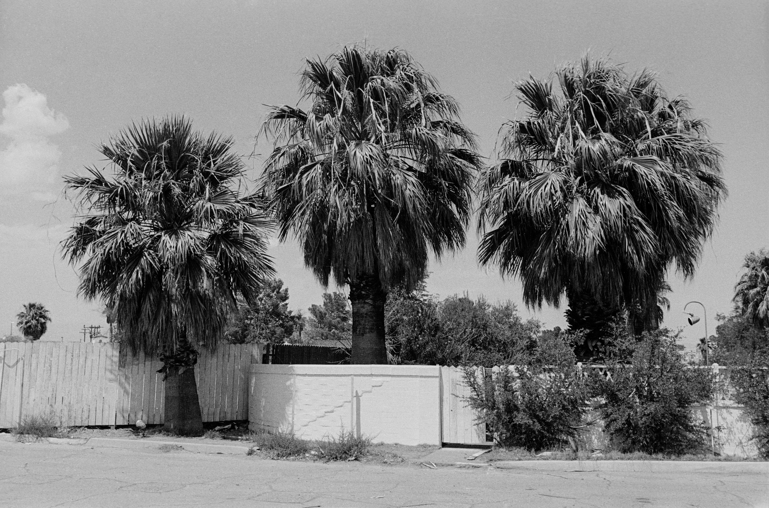   Las Vegas, NV, 1975  